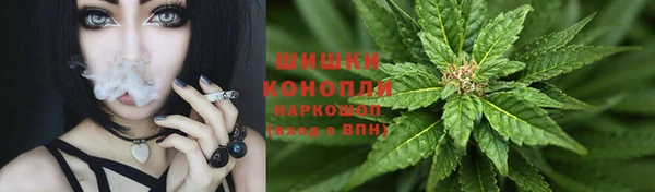 дживик Волоколамск