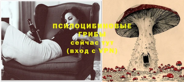 бошки Волосово