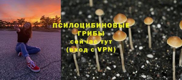 винт Верхний Тагил