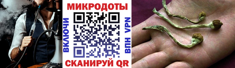 Галлюциногенные грибы Cubensis Сосногорск